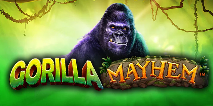 Cara Efektif Menang Besar di Slot Gorilla Mayhem Paling Gacor